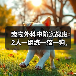 宠物外科中阶实战班:2人一组练一猫一狗,技术提升快吗?(图4) 宠物外科中阶实战班:2人一组练一猫一狗,技术提升快吗?(图4)