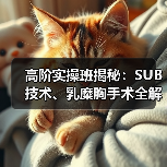 高阶实操班揭秘:SUB技术、乳糜胸手术全解析!(图2) 高阶实操班揭秘:SUB技术、乳糜胸手术全解析!(图2)