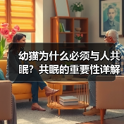 幼猫为什么必须与人共眠?共眠的重要性详解(图3) 幼猫为什么必须与人共眠?共眠的重要性详解(图3)