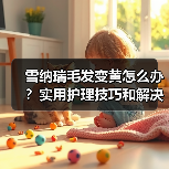 雪纳瑞毛发变黄怎么办？实用护理技巧和解决方法推荐