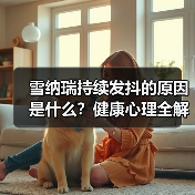 雪纳瑞持续发抖的原因是什么?健康心理全解析(图1) 雪纳瑞持续发抖的原因是什么?健康心理全解析(图1)