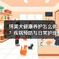 博美犬健康养护怎么做？疾病预防与日常护理技巧