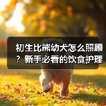 初生比熊幼犬怎么照顾?新手必看的饮食护理与训练技巧(图2) 初生比熊幼犬怎么照顾?新手必看的饮食护理与训练技巧(图2)