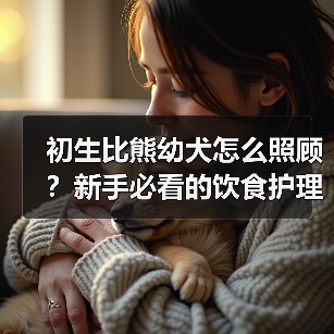 初生比熊幼犬怎么照顾？新手必看的饮食护理与训练技巧