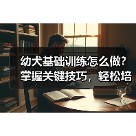 幼犬基础训练怎么做？掌握关键技巧，轻松培养乖巧听话宠物狗（图4）