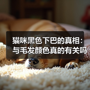 猫咪黑色下巴的真相:与毛发颜色真的有关吗?(图2) 猫咪黑色下巴的真相:与毛发颜色真的有关吗?(图2)