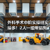 外科手术中阶实操班实操多!2人一组带猫狗提升快(图4) 外科手术中阶实操班实操多!2人一组带猫狗提升快(图4)