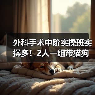 外科手术中阶实操班实操多!2人一组带猫狗提升快(图3) 外科手术中阶实操班实操多!2人一组带猫狗提升快(图3)