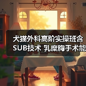 犬猫外科高阶实操班含SUB技术 乳糜胸手术能掌握吗？