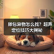脓包异物怎么找？超声定位技巧大揭秘（图3）