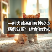 一例犬跳蚤叮咬性皮炎病例分析：综合治疗如何见效？