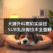 犬猫外科高阶实操班：SUB乳糜胸技术全面解析！