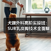 犬猫外科高阶实操班:SUB乳糜胸技术全面解析!(图3) 犬猫外科高阶实操班:SUB乳糜胸技术全面解析!(图3)