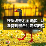 膀胱切开术全图解:从准备到缝合的完整流程(图3) 膀胱切开术全图解:从准备到缝合的完整流程(图3)