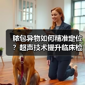 脓包异物如何精准定位?超声技术提升临床检出率(图3) 脓包异物如何精准定位?超声技术提升临床检出率(图3)