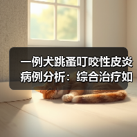 一例犬跳蚤叮咬性皮炎病例分析：综合治疗如何快速缓解瘙痒？