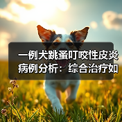 一例犬跳蚤叮咬性皮炎病例分析:综合治疗如何快速缓解瘙痒?(图3) 一例犬跳蚤叮咬性皮炎病例分析:综合治疗如何快速缓解瘙痒?(图3)