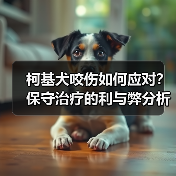 柯基犬咬伤如何应对?保守治疗的利与弊分析(图3) 柯基犬咬伤如何应对?保守治疗的利与弊分析(图3)