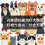 克维舒抗菌治疗犬跳蚤叮咬性皮炎:综合方案控制瘙痒与感染(图2) 克维舒抗菌治疗犬跳蚤叮咬性皮炎:综合方案控制瘙痒与感染(图2)