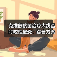 克维舒抗菌治疗犬跳蚤叮咬性皮炎:综合方案控制瘙痒与感染(图3) 克维舒抗菌治疗犬跳蚤叮咬性皮炎:综合方案控制瘙痒与感染(图3)
