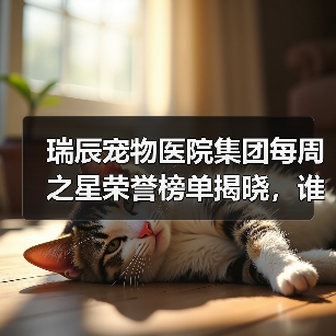瑞辰宠物医院集团每周之星荣誉榜单揭晓,谁是本月最具影响力员工?(图3) 瑞辰宠物医院集团每周之星荣誉榜单揭晓,谁是本月最具影响力员工?(图3)