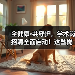 全健康·共守护，学术岗招聘全面启动！这些岗位你了解吗？（图4）