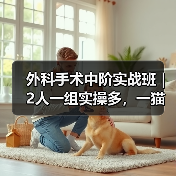 外科手术中阶实战班|2人一组实操多,一猫一狗提升快!(图2) 外科手术中阶实战班|2人一组实操多,一猫一狗提升快!(图2)