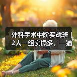 外科手术中阶实战班｜2人一组实操多，一猫一狗提升快！