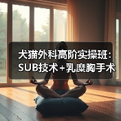 犬猫外科高阶实操班:SUB技术+乳糜胸手术现场实操不容错过!(图3) 犬猫外科高阶实操班:SUB技术+乳糜胸手术现场实操不容错过!(图3)