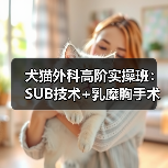 犬猫外科高阶实操班:SUB技术+乳糜胸手术现场实操不容错过!(图4) 犬猫外科高阶实操班:SUB技术+乳糜胸手术现场实操不容错过!(图4)