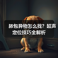 脓包异物怎么找？超声定位技巧全解析