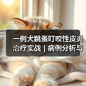 一例犬跳蚤叮咬性皮炎治疗实战 | 病例分析与综合管理要点(图2) 一例犬跳蚤叮咬性皮炎治疗实战 | 病例分析与综合管理要点(图2)
