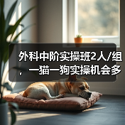 外科中阶实操班2人/组，一猫一狗实操机会多，提升快！