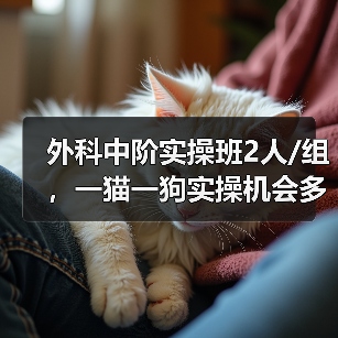 外科中阶实操班2人/组,一猫一狗实操机会多,提升快!(图2) 外科中阶实操班2人/组,一猫一狗实操机会多,提升快!(图2)