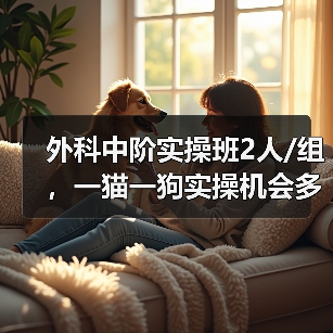 外科中阶实操班2人/组,一猫一狗实操机会多,提升快!(图4) 外科中阶实操班2人/组,一猫一狗实操机会多,提升快!(图4)
