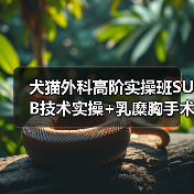 犬猫外科高阶实操班SUB技术实操+乳糜胸手术你掌握了吗?(图2) 犬猫外科高阶实操班SUB技术实操+乳糜胸手术你掌握了吗?(图2)