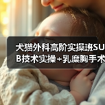 犬猫外科高阶实操班SUB技术实操+乳糜胸手术你掌握了吗?(图3) 犬猫外科高阶实操班SUB技术实操+乳糜胸手术你掌握了吗?(图3)