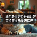脓包异物定位难题?超声扫查实战技巧解析(图4) 脓包异物定位难题?超声扫查实战技巧解析(图4)