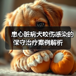 患心脏病犬咬伤感染的保守治疗案例解析