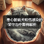 患心脏病犬咬伤感染的保守治疗案例解析(图4) 患心脏病犬咬伤感染的保守治疗案例解析(图4)