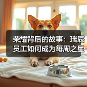 荣耀背后的故事:瑞辰员工如何成为每周之星?(图3) 荣耀背后的故事:瑞辰员工如何成为每周之星?(图3)