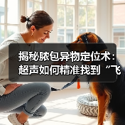 揭秘脓包异物定位术:超声如何精准找到“飞来”异物(图3) 揭秘脓包异物定位术:超声如何精准找到“飞来”异物(图3)