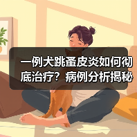 一例犬跳蚤皮炎如何彻底治疗？病例分析揭秘