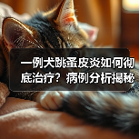 一例犬跳蚤皮炎如何彻底治疗?病例分析揭秘(图3) 一例犬跳蚤皮炎如何彻底治疗?病例分析揭秘(图3)