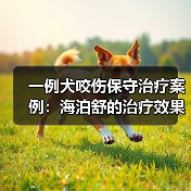 一例犬咬伤保守治疗案例：海泊舒的治疗效果如何？