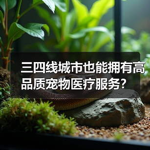 三四线城市也能拥有高品质宠物医疗服务？
