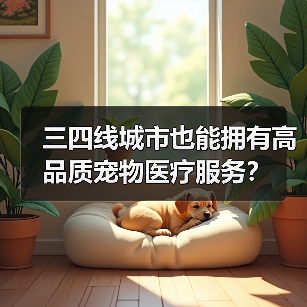 三四线城市也能拥有高品质宠物医疗服务?(图4) 三四线城市也能拥有高品质宠物医疗服务?(图4)