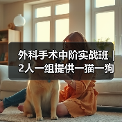 外科手术中阶实战班｜2人一组提供一猫一狗，实操机会多到爆！