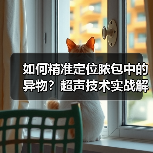 如何精准定位脓包中的异物？超声技术实战解析（图3）