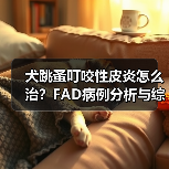 犬跳蚤叮咬性皮炎怎么治?FAD病例分析与综合治疗方案(图4) 犬跳蚤叮咬性皮炎怎么治?FAD病例分析与综合治疗方案(图4)